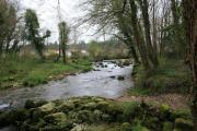 Río Rois