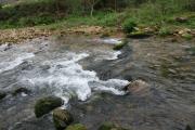 Río Rois