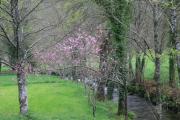 Río Rois