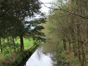 Río Rois