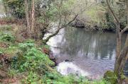 Río Sar