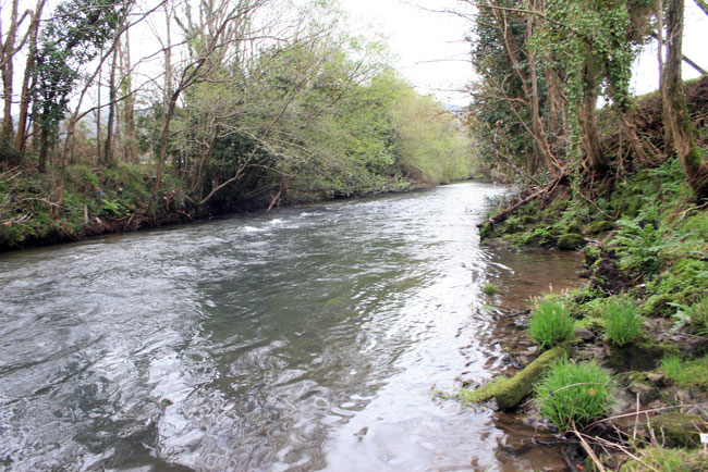 Río Sar