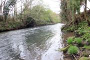 Río Sar