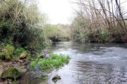 Río Sar