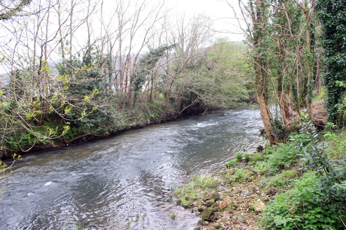 Río Sar