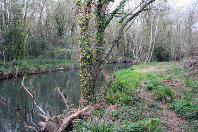 Río Sar