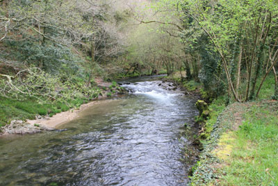 Río Soñora o Traba 