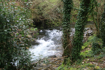 Río Soñora o Traba 