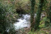 Río Soñora o Traba 