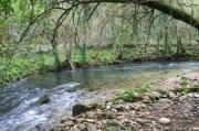 Río Soñora o Traba 