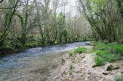 Río Soñora o Traba 