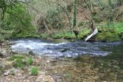 Río Soñora o Traba 