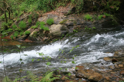 Río Soñora o Traba 