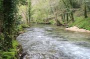 Río Soñora o Traba 
