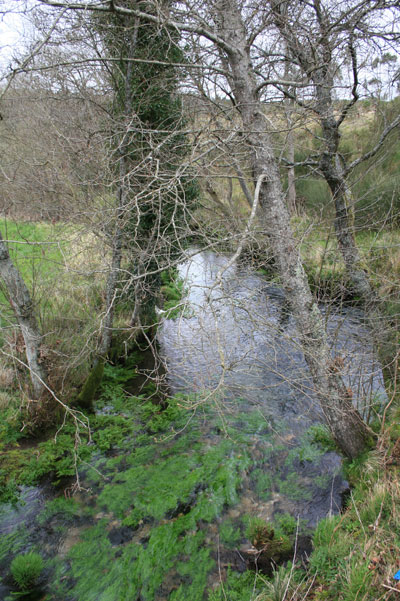 Río Soñora o Traba 