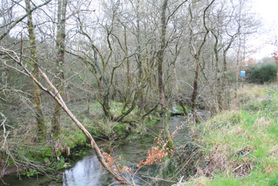 Río Soñora o Traba 