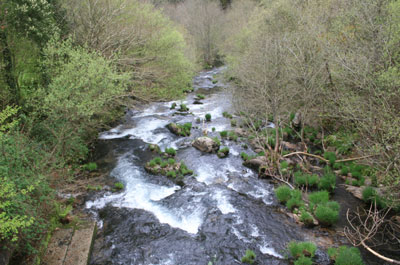 Río Soñora o Traba 