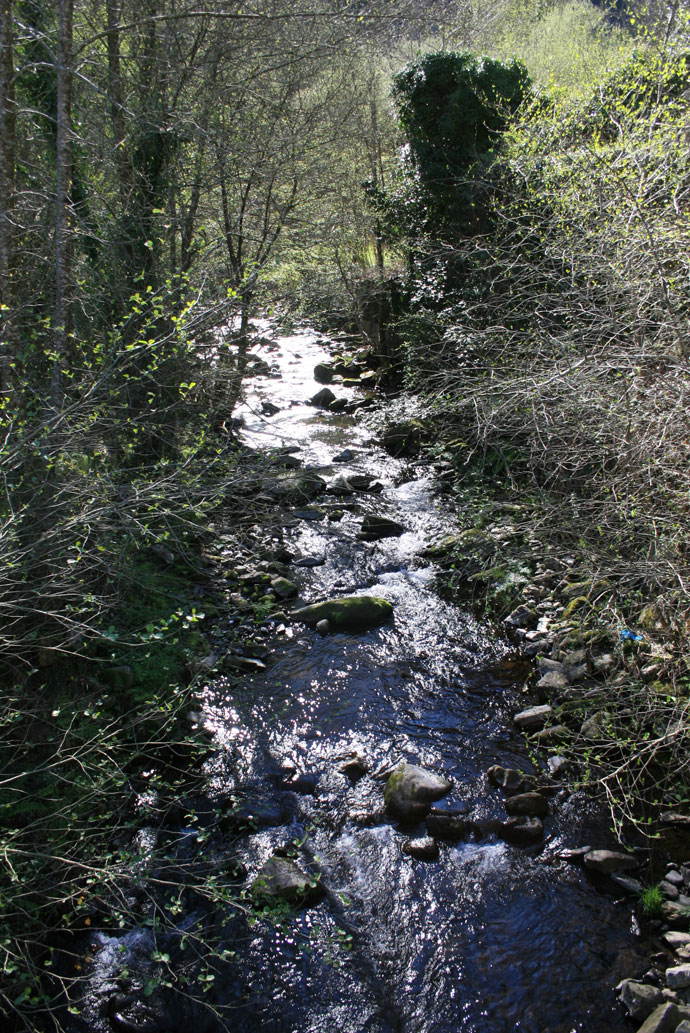 Río Tines