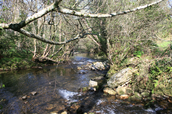 Río Tines