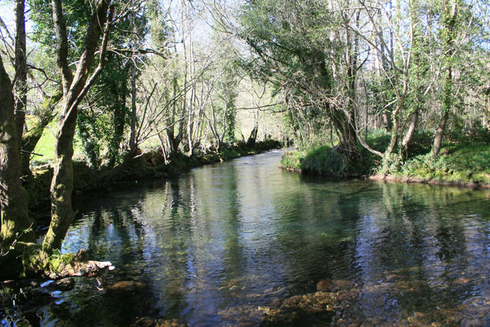Río Tines