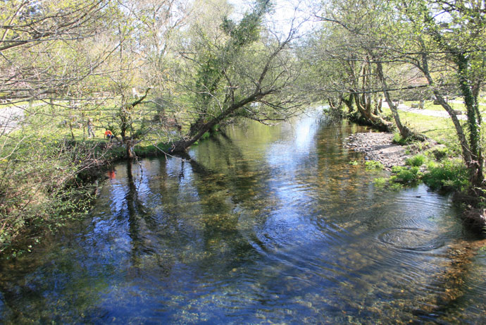 Río Tines