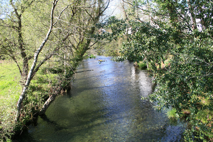 Río Tines