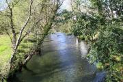 Río Tines
