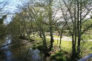 Río Tines