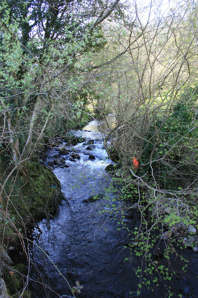 Río Tines