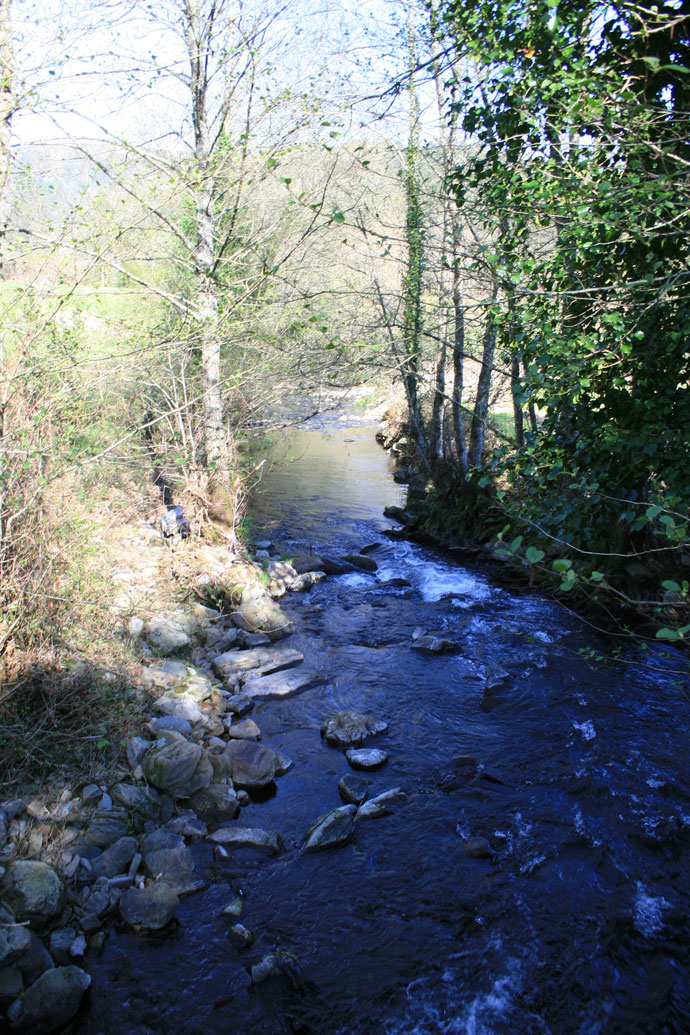 Río Tines