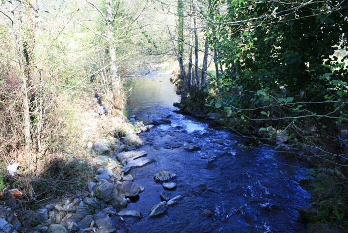 Río Tines