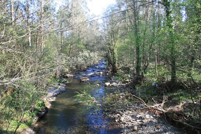 Río Tines