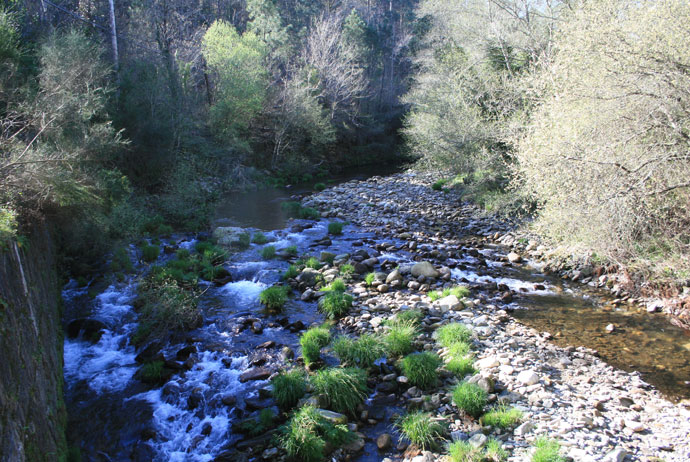 Río Tines