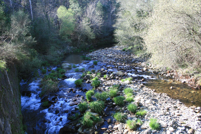 Río Tines