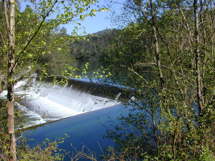 Presa de Coveliño