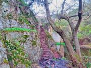 Escalera de bajada a la poza