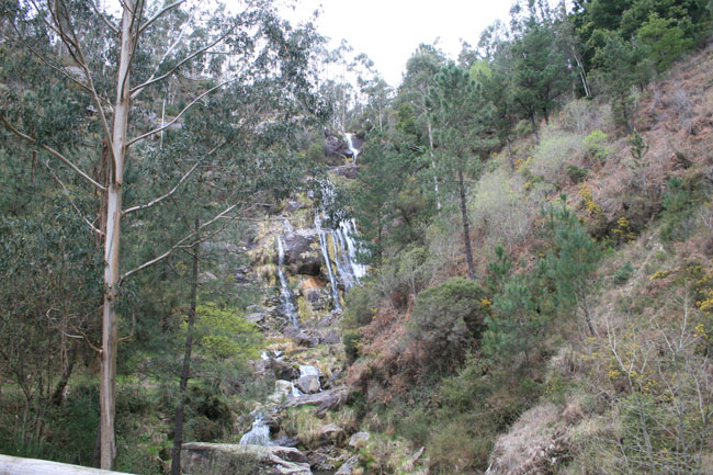 Fervenza de Cadarnoxo
