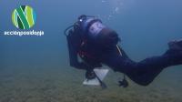 Acción Posidonia, impulsa la restauración marina a través de reforestación de praderas y la colaboración pesquera