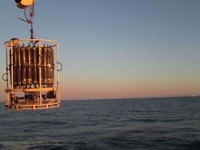 Científicas del IEO-CSIC participan en una investigación internacional para profundizar en el conocimiento del estado de salud de los océanos