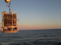 Científicas del IEO-CSIC participan en una investigación internacional para profundizar en el conocimiento del estado de salud de los océanos