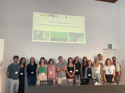 El IEO-CSIC propone estrategias viables para la preservación de las praderas de Posidonia oceanica