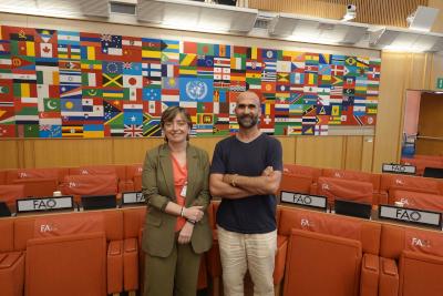El IEO participa en la reunión del Comité Científico Asesor de la Comisión General de Pesca del Mediterráneo El IEO participa en la reunión del Comité Científico Asesor de la Comisión General de Pesca del Mediterráneo