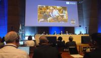 España reelegida como miembro del Comité Ejecutivo de la Comisión Oceanográfica Intergubernamental de la UNESCO España reelegida como miembro del Comité Ejecutivo de la Comisión Oceanográfica Intergubernamental de la UNESCO