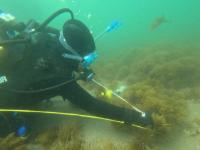 Marinas de Andalucía consolida su compromiso con la biodiversidad y la protección del medio marino