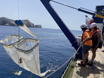 Comienza una nueva campaña TUNIBAL para mejorar la estimación de la abundancia de atún rojo en el Mediterráneo Comienza una nueva campaña TUNIBAL para mejorar la estimación de la abundancia de atún rojo en el Mediterráneo