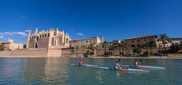 111024_palma_pardematr02