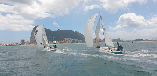 amarina3