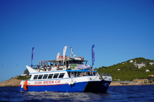 CNSA_winfoil_02