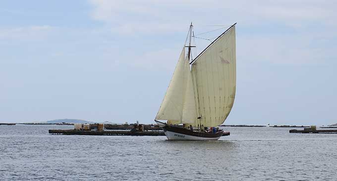 El-Galeón-ILLA-DE-CORTEGADA,-de-la-Asociación-Rompetimóns-de-Carril,-en-un-momento-de-la-regata.