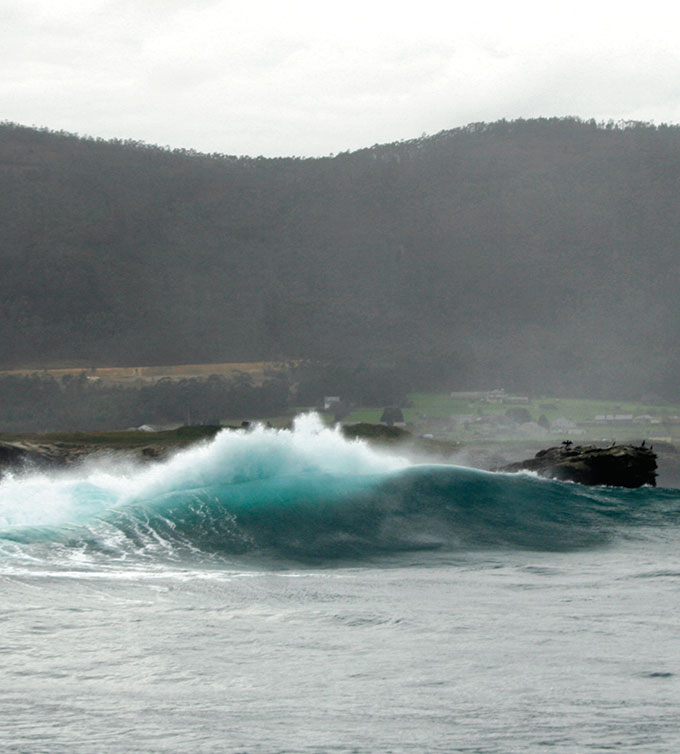 olas_6331